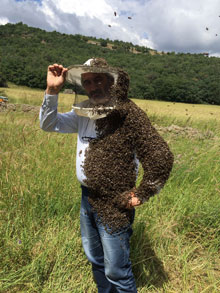 Doğal Çiçek Balı Üretimi 8