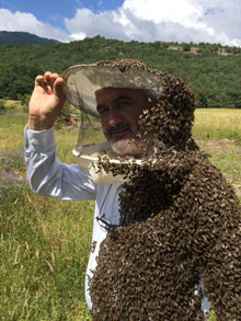 Doğal Çiçek Balı Üretimi 9